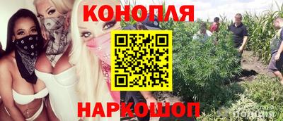 спиды Новокубанск